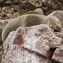 Peru 0105